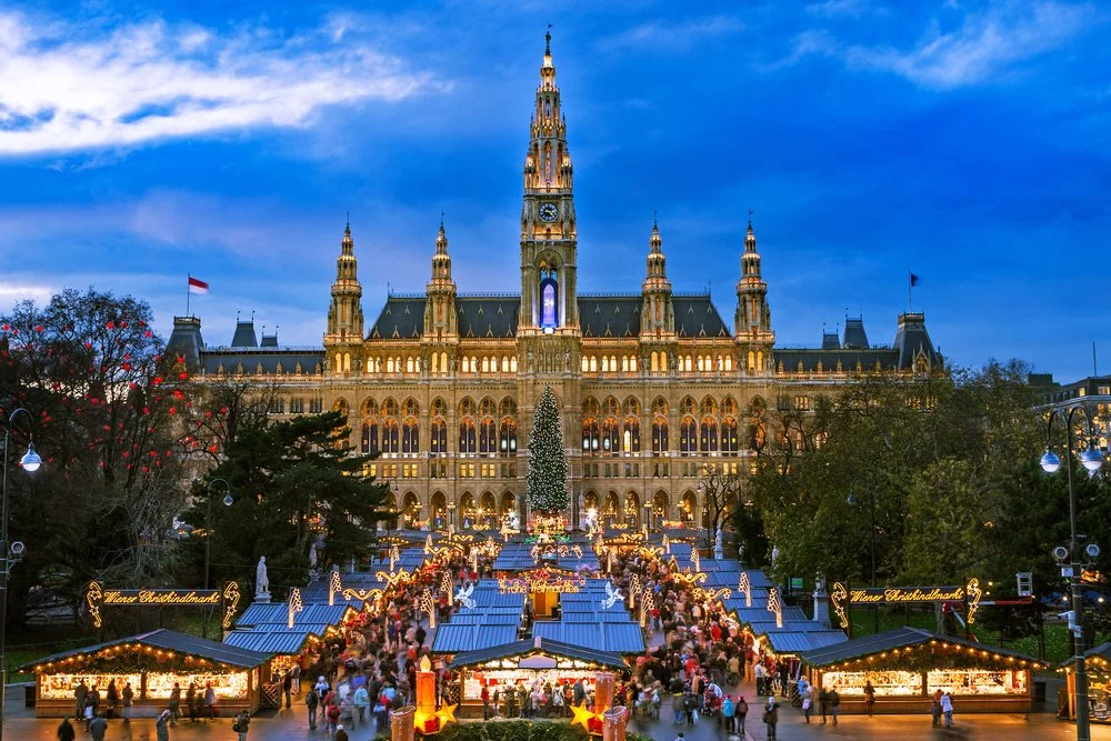 Executive & Educational Trips for Governments & Companies